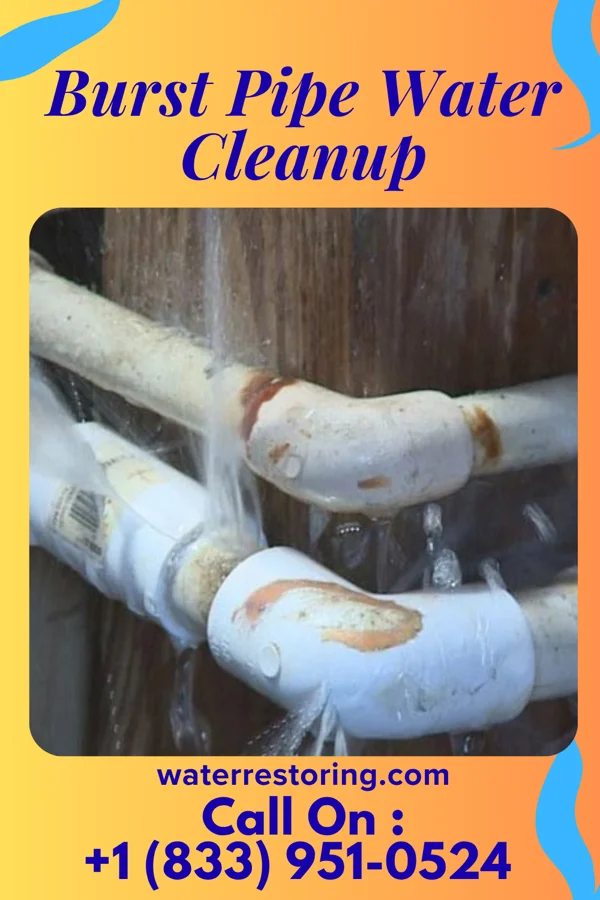 Burst Pipe Water Cleanup in Chippewa Park, OH