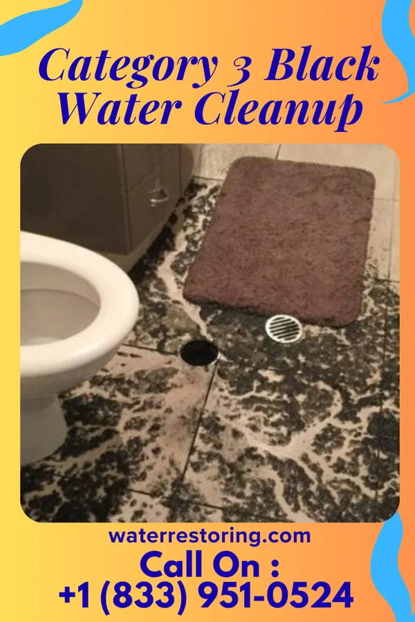 Category 3 Black Water Cleanup in Chippewa Park, OH