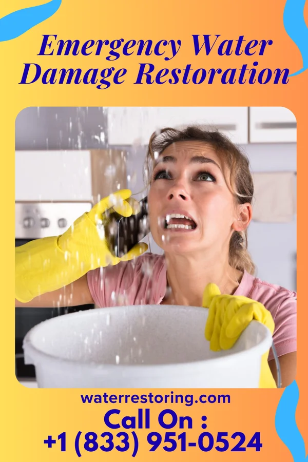 Emergency Water Damage Restoration in Chippewa Park, OH