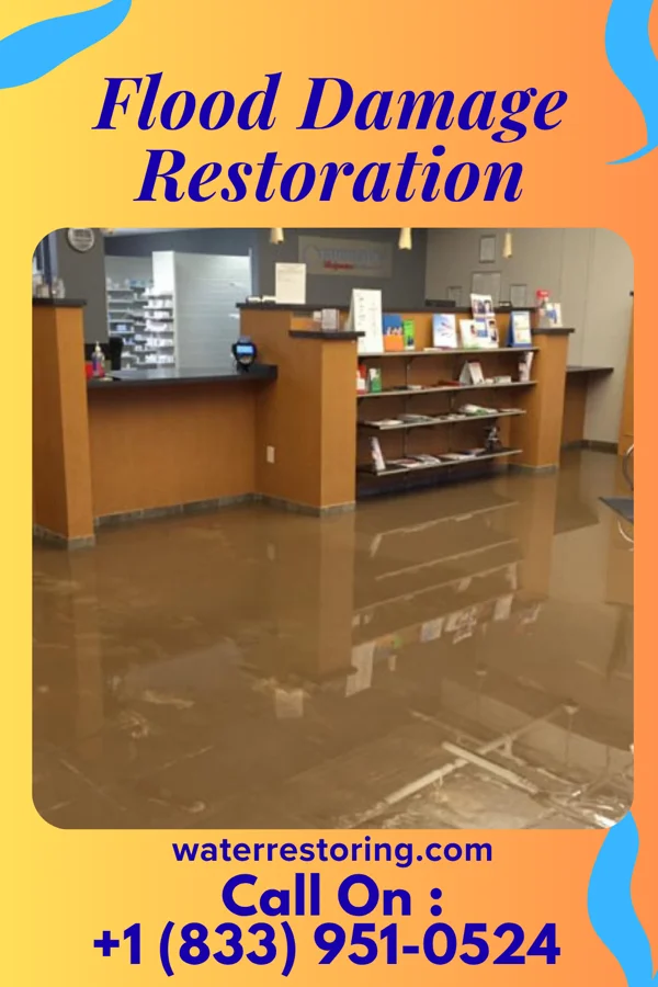 Flood Damage Restoration in Chippewa Park, OH