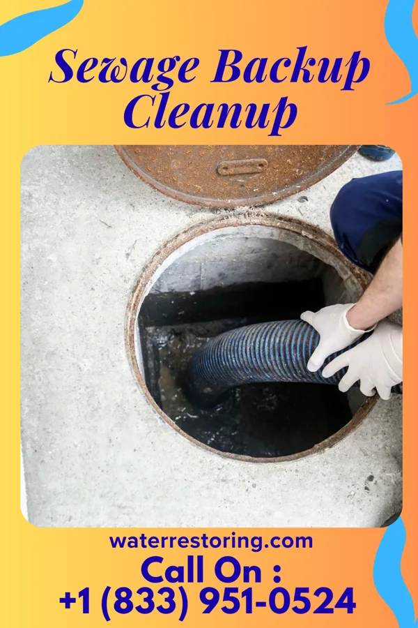 Sewage Backup Cleanup in Chippewa Park, OH